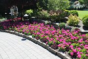 108 - Butchard Gardens  - IMG_1727